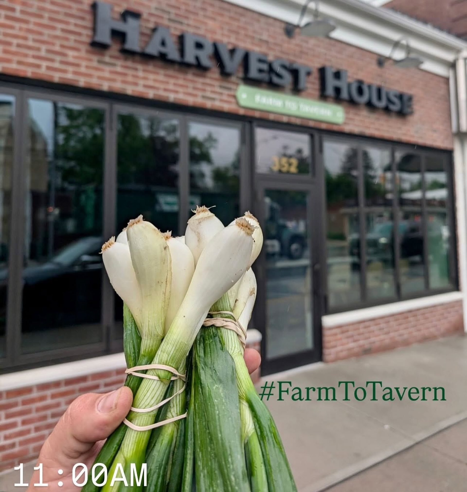 Malverne's Farm-to-tavern Story Gets Noticed