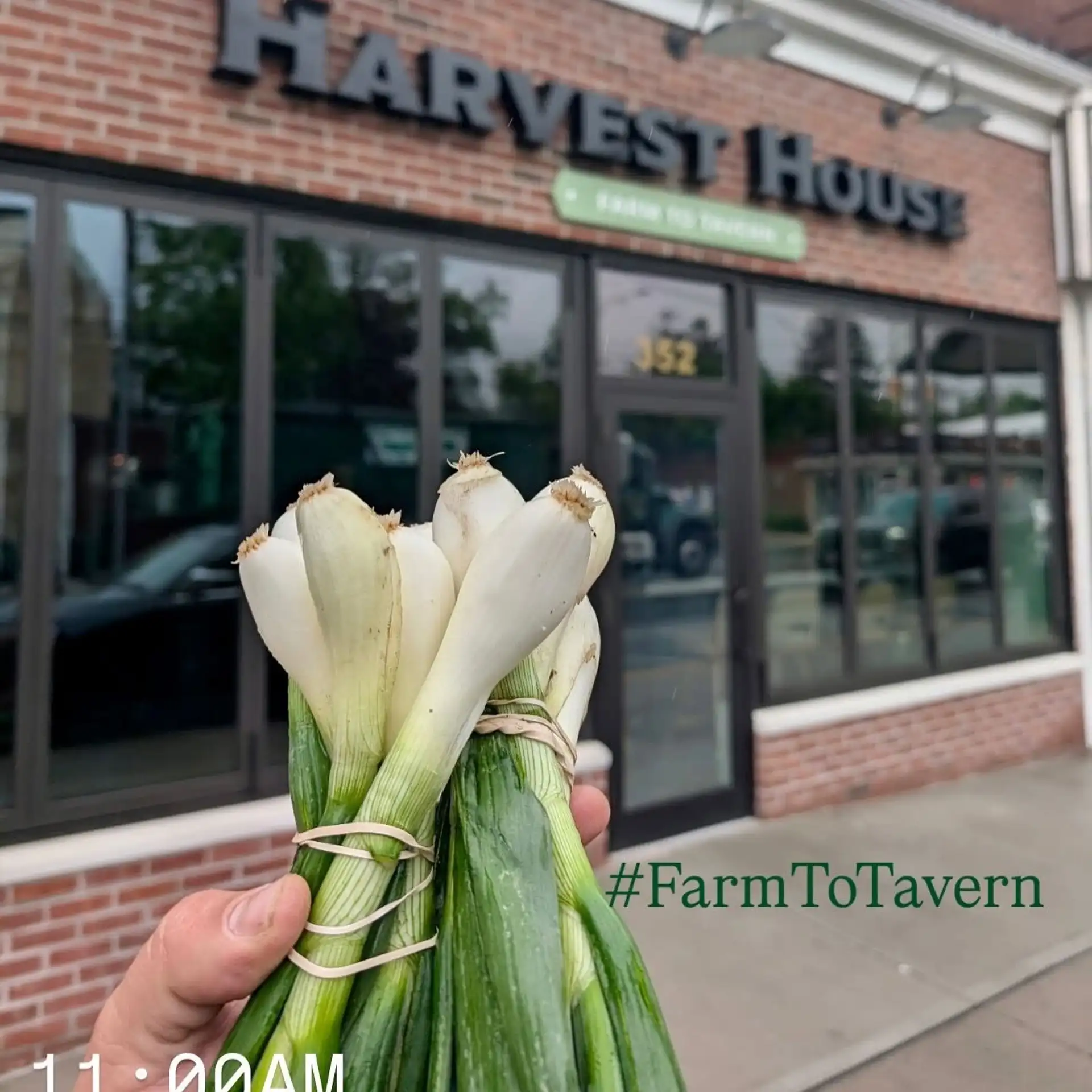Malverne's Farm-to-tavern Story Gets Noticed